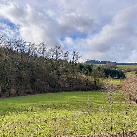 Lottmaringhausen Tatil Evi Meschede